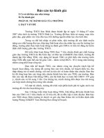 báo cáo tự đánh giá trường thcs