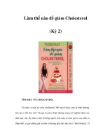 Làm thế nào để giảm Cholesterol (Kỳ 2) pptx