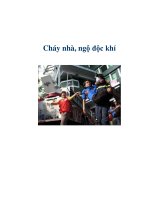 Cháy nhà, ngộ độc khí pdf