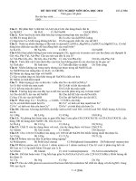 Đề thi thử THPT có đáp án