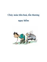 Chảy máu tiêu hoá, tổn thương nguy hiểm ppsx