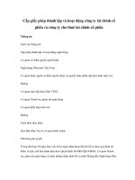 Cấp giấy phép thành lập và hoạt động công ty tài chính cổ phần và công ty cho thuê tài chính cổ phần pdf