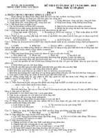 đề thi tám tuần kỳ I lớp 12