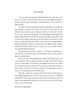 đề tài nâng cao hiệu quả sử dụng tại công ty sản xuất, xuất nhập khẩu điện tử thanh niên hà nội