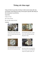 Trứng cút chua ngọt potx