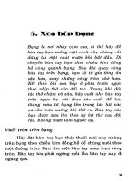 Xoa bóp bụng pptx