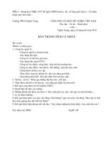 MẪU BÁO CÁO THÀNH TÍCH 2009-2010