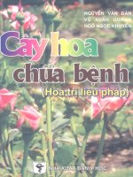 Cây hoa chữa bệnh (Phần 1) potx