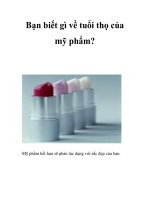 Bạn biết gì về tuổi thọ của mỹ phẩm? pps