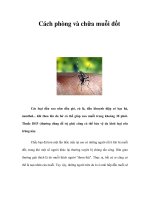 Cách phòng và chữa muỗi đốt pptx