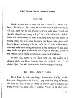 Biện pháp phòng chống các bệnh do virus từ động vật lây sang người (Phần 3) docx