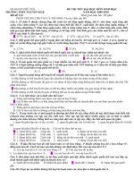 De & DA thi thu DH II Nguyen Hue PY