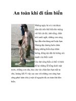 An toàn khi đi tắm biển pot