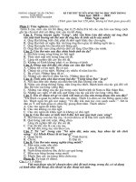 Đề Văn vào 10+Đáp án