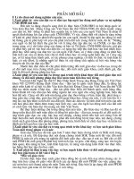 De tai doi moi PPDH giai toan co loi van o lop 4