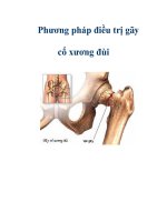 Phương pháp điều trị gãy cổ xương đùi pdf