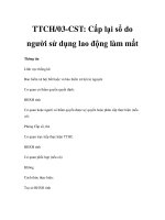 TTCH/03-CST: Cấp lại sổ do người sử dụng lao động làm mất potx