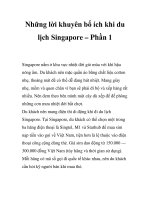 Những lời khuyên bổ ích khi du lịch Singapore – Phần 1 potx