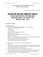 Báo cáo thành tích CSTĐ cấp Tỉnh 2009-2010