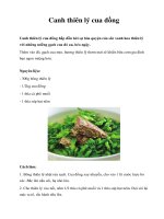 Canh thiên lý cua đồng docx