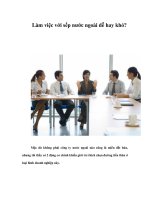 Làm việc với sếp nước ngoài dễ hay khó? ppt