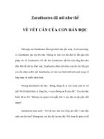 VỀ VẾT CẮN CỦA CON RẮN ĐỘC - Zarathustra đã nói như thế pot