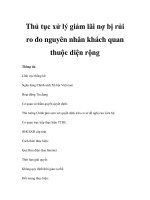 Thủ tục xử lý giảm lãi nợ bị rủi ro do nguyên nhân khách quan thuộc diện rộng pot