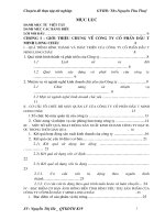 Một số giải pháp đẩy mạnh tiêu thụ sản phẩm tại Công ty Cổ phần Đầu tư Minh Long Châu