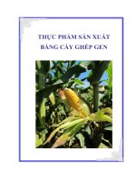 Dinh dưỡng và sức khỏe: Thực phẩm sản xuất bằng cấy ghép gen potx