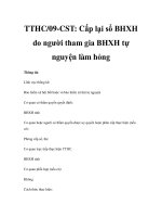 TTHC/09-CST: Cấp lại sổ BHXH do người tham gia BHXH tự nguyện làm hỏng pdf