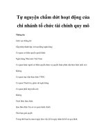 Tự nguyện chấm dứt hoạt động của chi nhánh tổ chức tài chính quy mô pdf