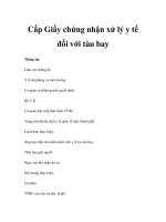 Cấp Giấy chứng nhận xử lý y tế đối với tàu bay pptx