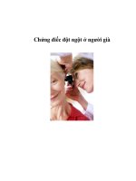 Chứng điếc đột ngột ở người già potx