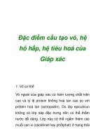 Đặc điểm cấu tạo vỏ, hệ hô hấp, hệ tiêu hoá của Giáp xác pptx