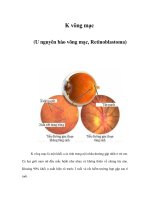 K võng mạc (U nguyên bào võng mạc, Retinoblastoma) potx