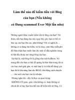 Làm thế nào để kiếm tiền với Blog của bạn (Nếu không có Đang scammed Ever Một lần nữa) potx