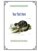 BÌA SÁCH-BÌA GIÁO ÁN 2