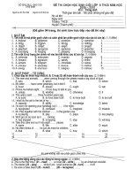 ĐỀ THI HSG CẤP TỈNH SGD THÁI BÌNH - NĂM HỌC 2009 - 2010