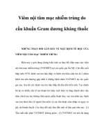 Viêm nội tâm mạc nhiễm trùng do cầu khuẩn Gram dương kháng thuốc potx