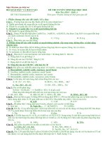 Đề và Đ.án mẫu Hóa ĐH 2010 số 10