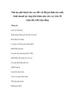 Thủ tục phê duyệt cho vay đối với Hộ gia đình sản xuất, kinh doanh tại vùng khó khăn mức cho vay trên 30 triệu đến 100 triệu đồng ppt