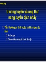 U nhú dịch nhầy trong ống tụy (Phần 2) pot