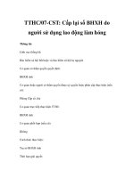 TTHC/07-CST: Cấp lại sổ BHXH do người sử dụng lao động làm hỏng potx