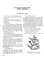 Những cây thuốc và vị thuốc Việt Nam (Phần II-VI) pps