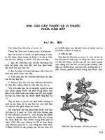 Những cây thuốc và vị thuốc Việt Nam (Phần II-XVII) pps