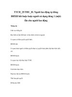 TTCH_25/THU_H: Người lao động tự đóng BHXH bắt buộc hoặc người sử dụng đóng 1 (một) lần cho người lao động doc