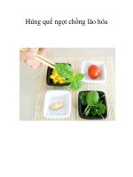 Húng quế ngọt chống lão hóa pdf