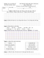 Đề thi HSG - TV lớp 1