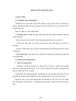 Giáo trình bệnh học 2 (Phần 18) pot