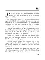 Dinh dưỡng và thực phẩm: Cá docx